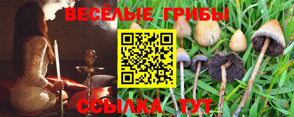 Галлюциногенные грибы Magic Shrooms Нефтекамск